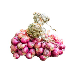 bawang merah