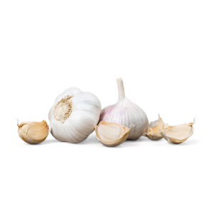 bawang putih