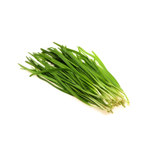 daun bawang