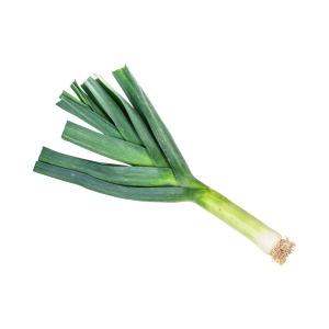 daun bawang prei
