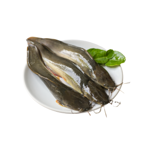 ikan lele