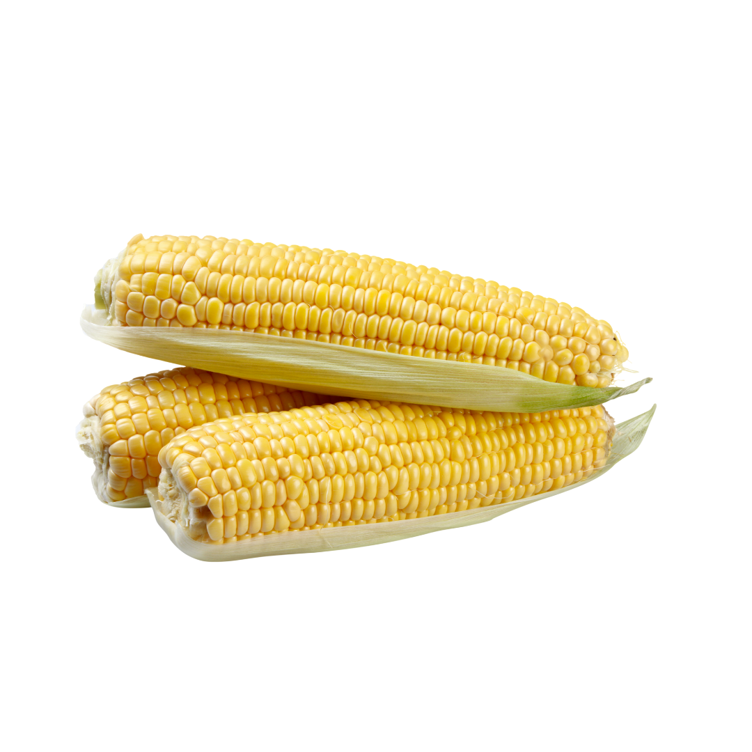 JagungRp 12.000/kg