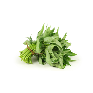 kangkung
