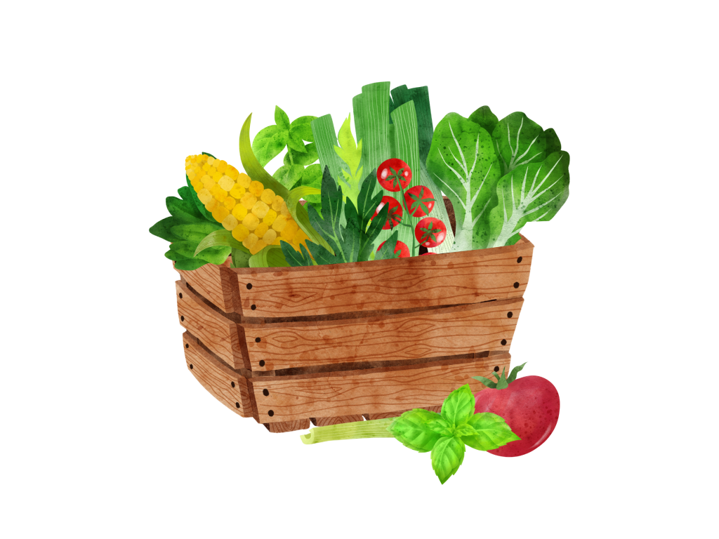 keranjang sayur