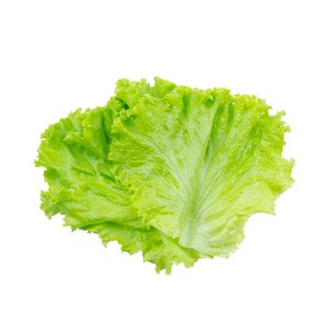selada