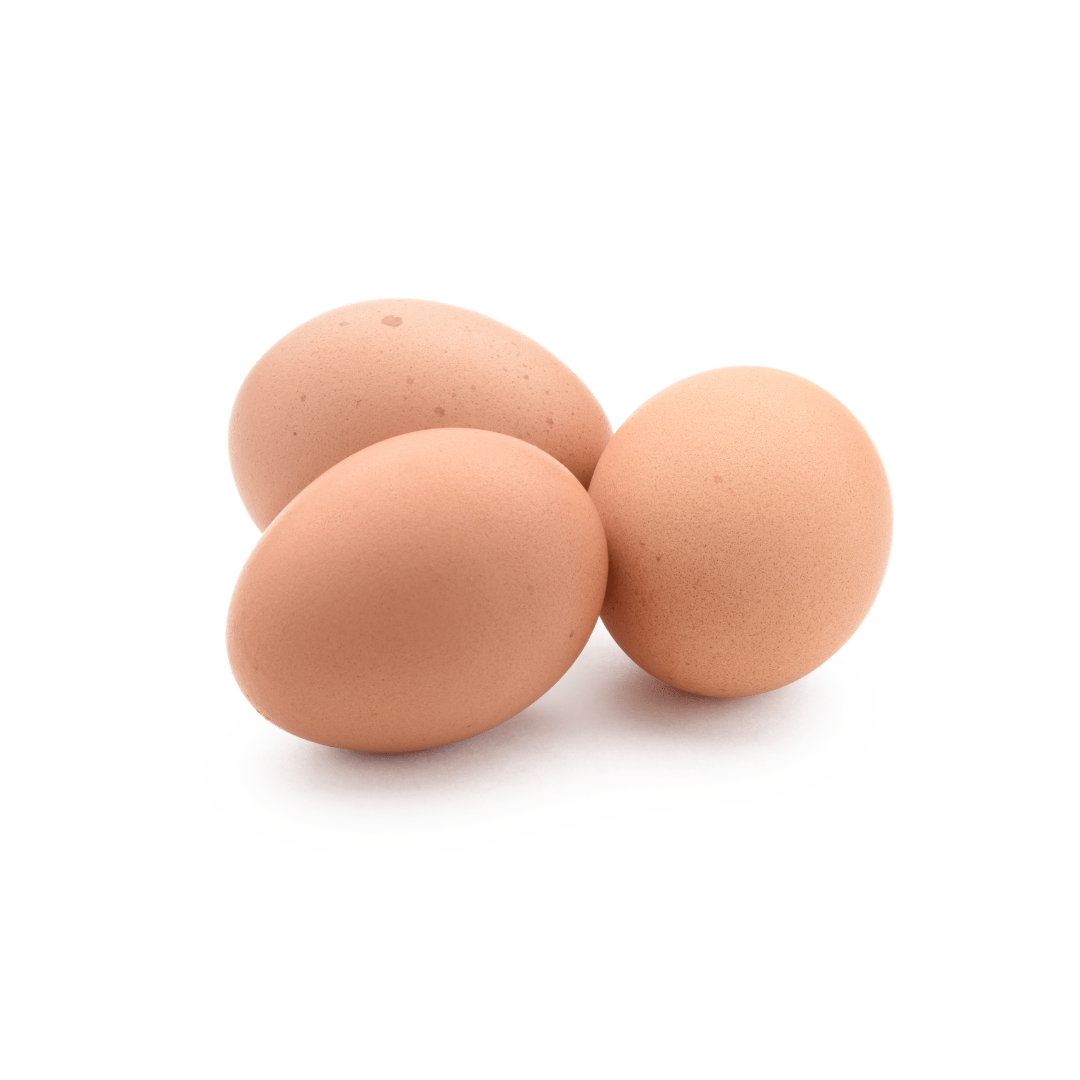 Telur